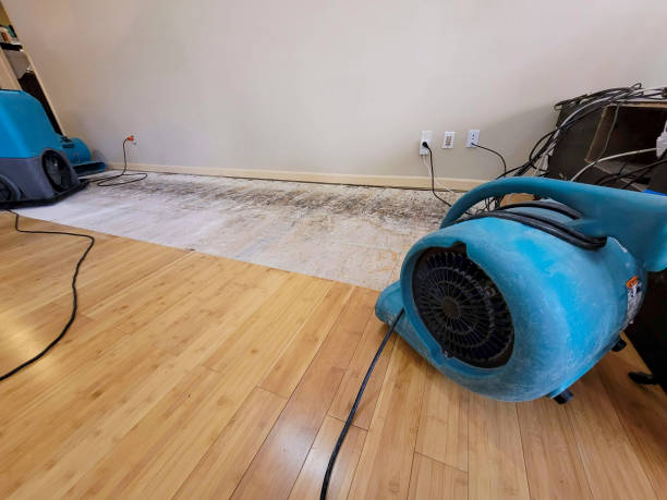 Reliable Basement Flood Cleanup contractor in Morrisonville, NY by Hirex Water Damage