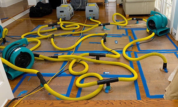 Professional Basement Flood Cleanup technician working in Morrisonville, NY